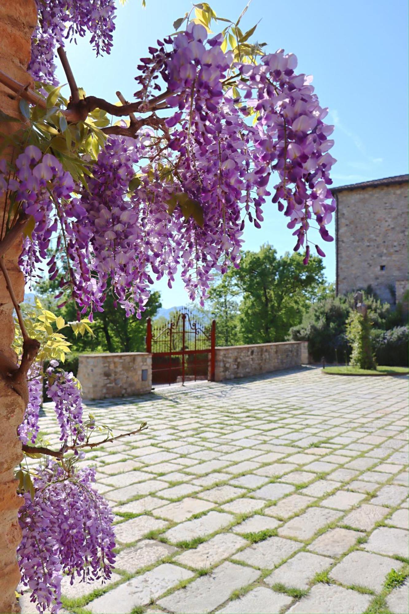 Villa Castello Di Viano Exterior foto